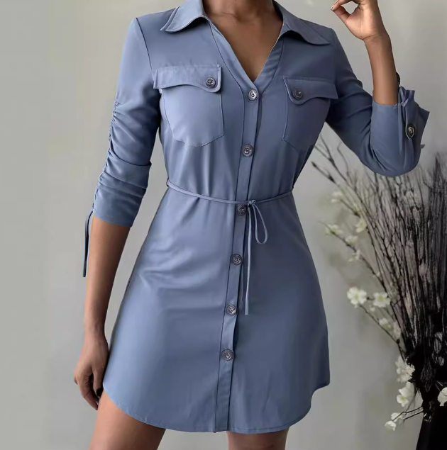 Blue Women'S Long Sleeve Pocket Casual Dress