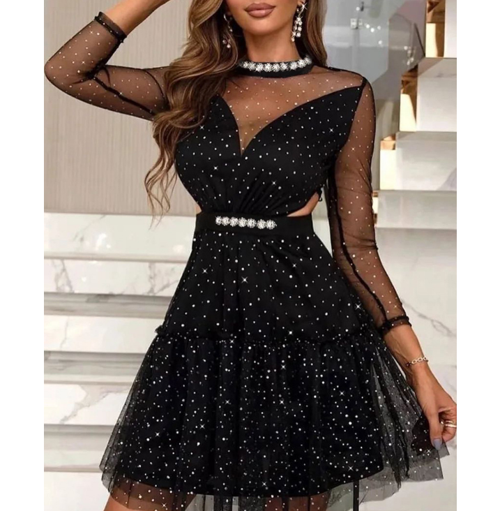 Black Sexy Mesh Long Sleeve Dress