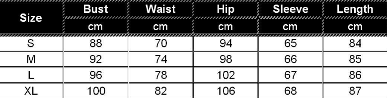 Women's Leopard Print Long Sleeve Sexy V-Neck Dress