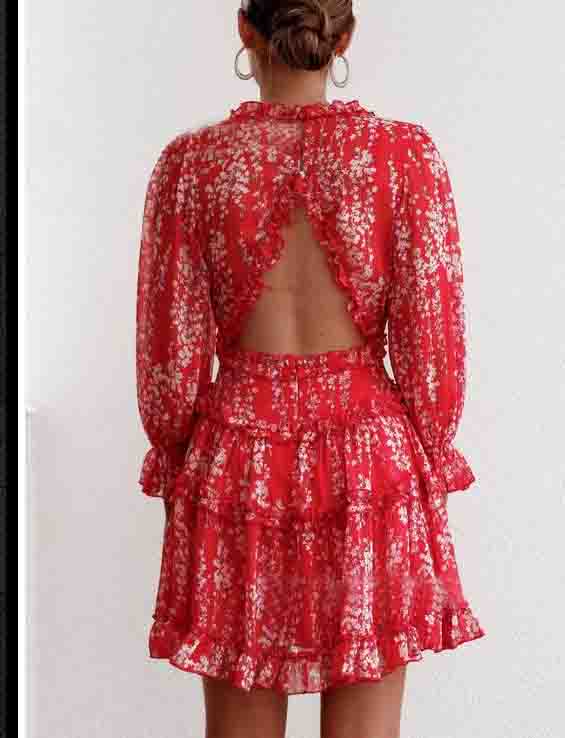 Women's Long Sleeve Print Chiffon Dress