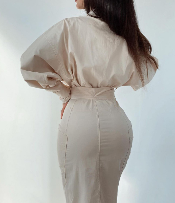 Solid Color Long Sleeve Dress