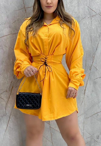 Casual Solid Color Long Sleeve Dress