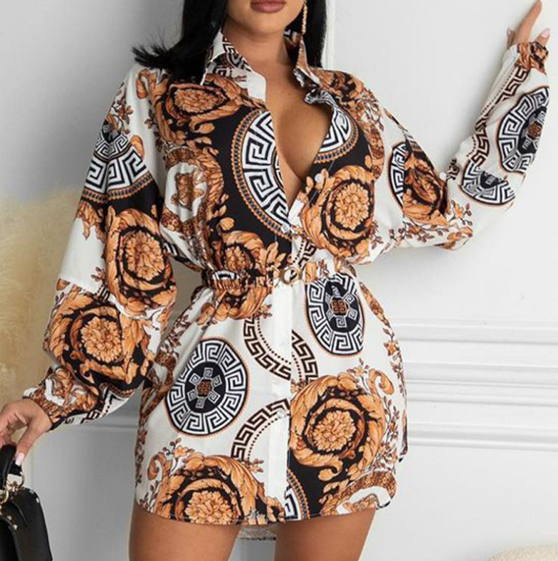 Women's Printed Long Sleeve Dress
