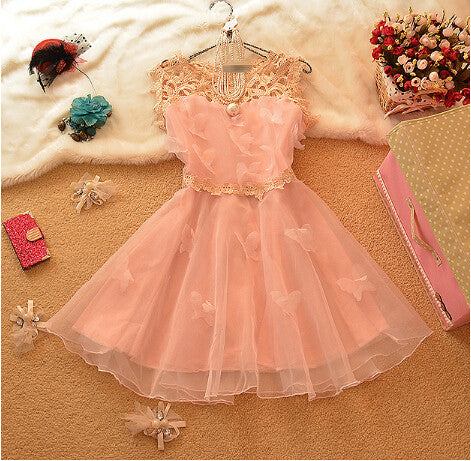 Slim Openwork Lace Princess Dress