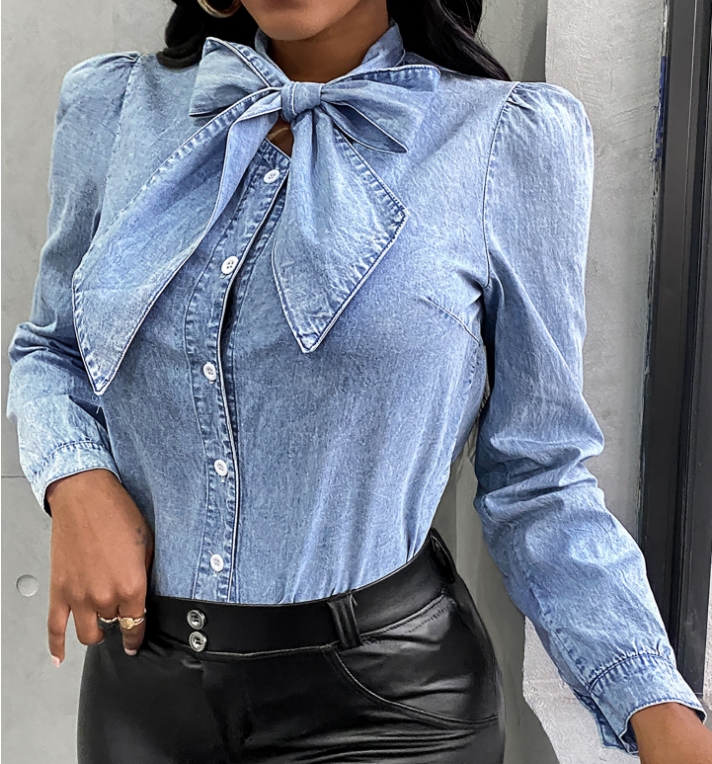 Long Sleeve Chiffon Shirt Top
