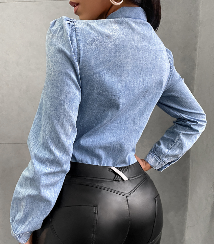 Long Sleeve Chiffon Shirt Top