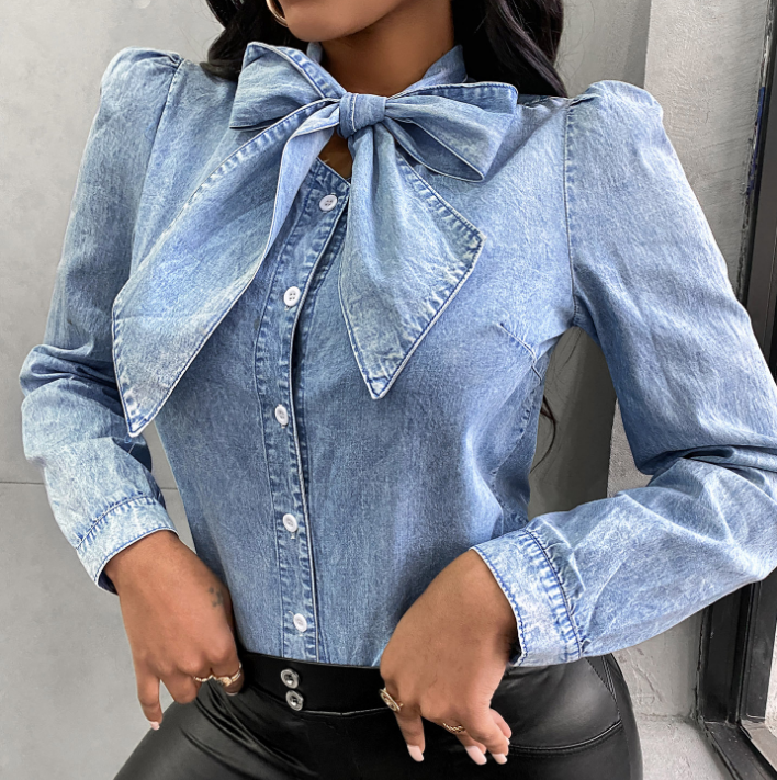 Long Sleeve Chiffon Shirt Top