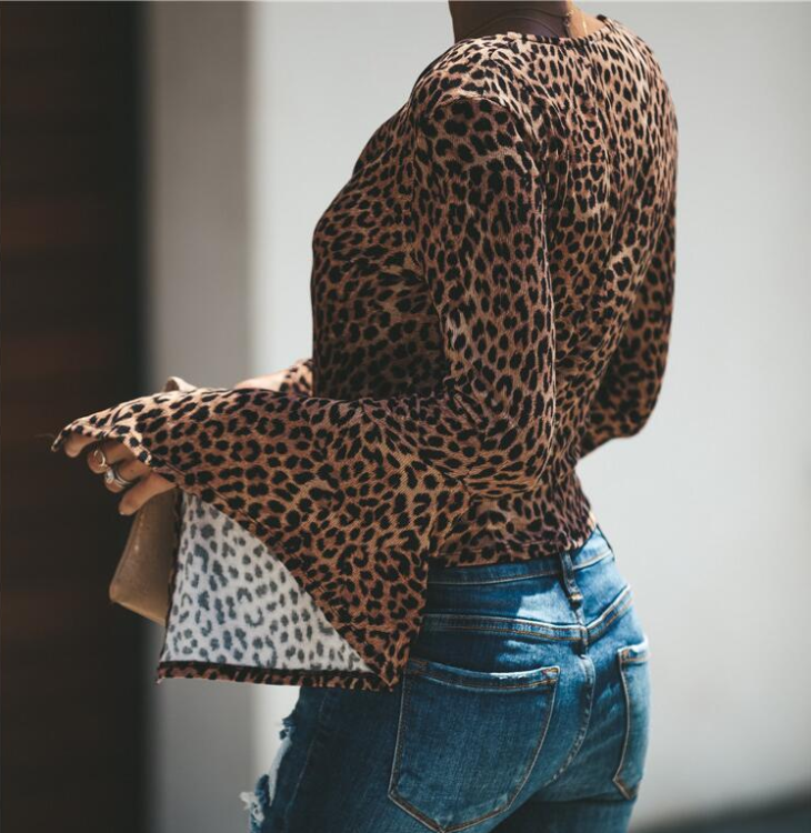 Casual Long Sleeve Leopard V-Neck T-Shirt