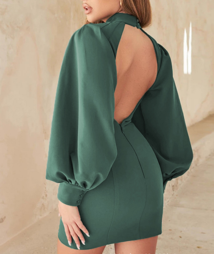 Solid Color Women'S Long Sleeves Backless Skinny Dress