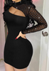 Fashion Sexy Mesh Long Sleeve Dress