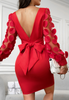 Red Mesh Jacquard Backless Casual Long Sleeve Dress