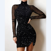 Women's Slim Pack Hip Lace Dress