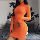 Slim Sexy High-Necked Long-Sleeved Package Hip Dress
