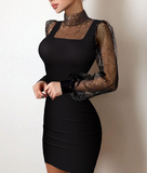 Solid Color Skinny Long Sleeve Black Dress