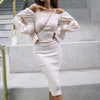 Women'S Long-Sleeved Slim Dress