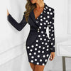 Design V-Neck Long Sleeve Dress