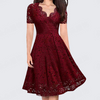 Temperament Fashion V-neck Short Sleeve Lace Dress