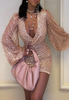 Women's Long Sleeve V-Neck Sequin Pack Hip Dress