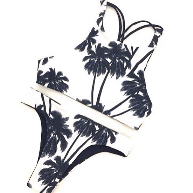 Sexy split Coconut print bikini swimsuit