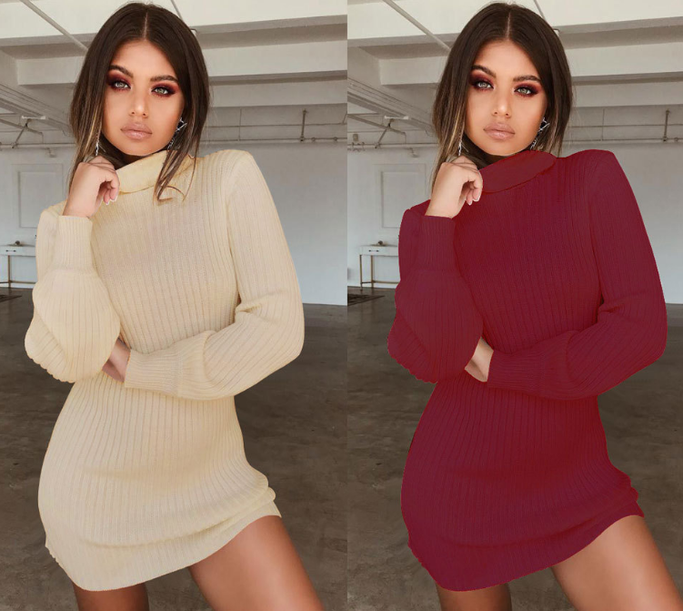 Sexy High-Necked Slim Long-Sleeved Dress