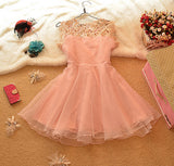 Slim Openwork Lace Princess Dress